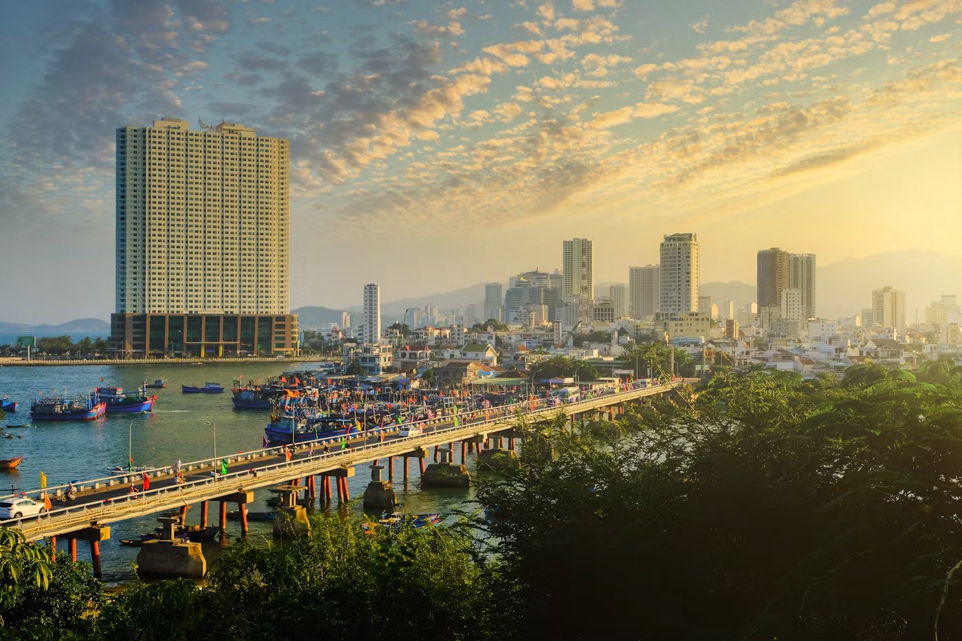 From policy to action: Vietnam builds a Halal ecosystem, with Nha Trang as its “meeting point”