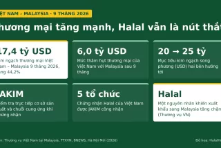 Vietnam – Malaysia trade tops USD 17 billion in nine months: Halal is the key for Vietnamese goods to narrow the deficit