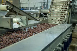 Vietnamese farm produce and the Halal market: from a supply advantage to a compliant value chain