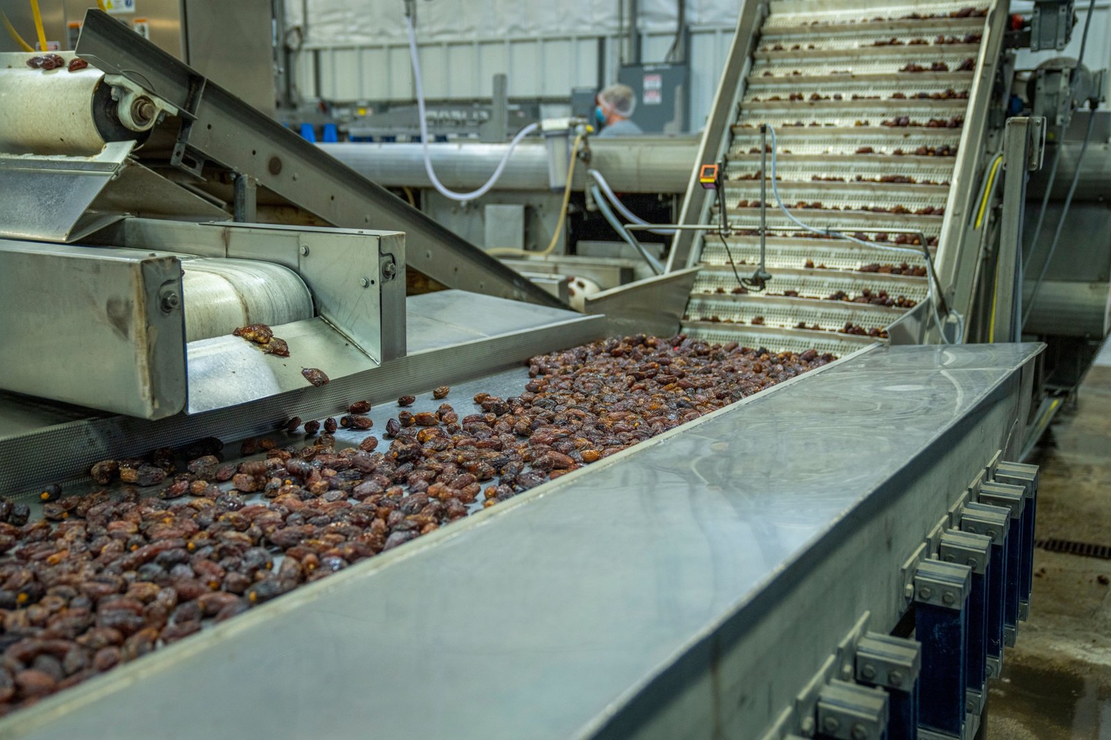 Vietnamese farm produce and the Halal market: from a supply advantage to a compliant value chain